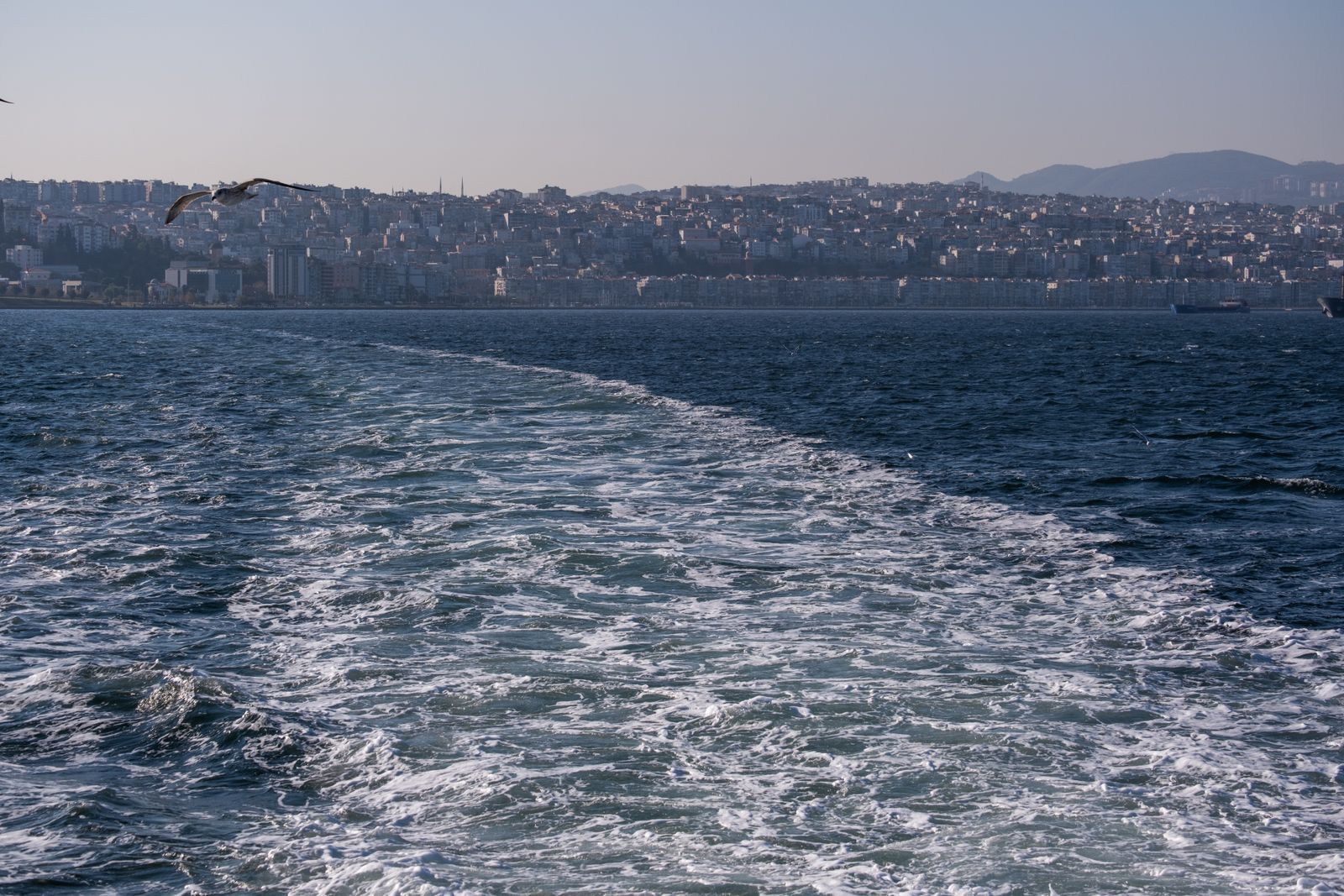 The white wake behind a ship stretching across the sea toward a coastline, showing how fast cruise ships go